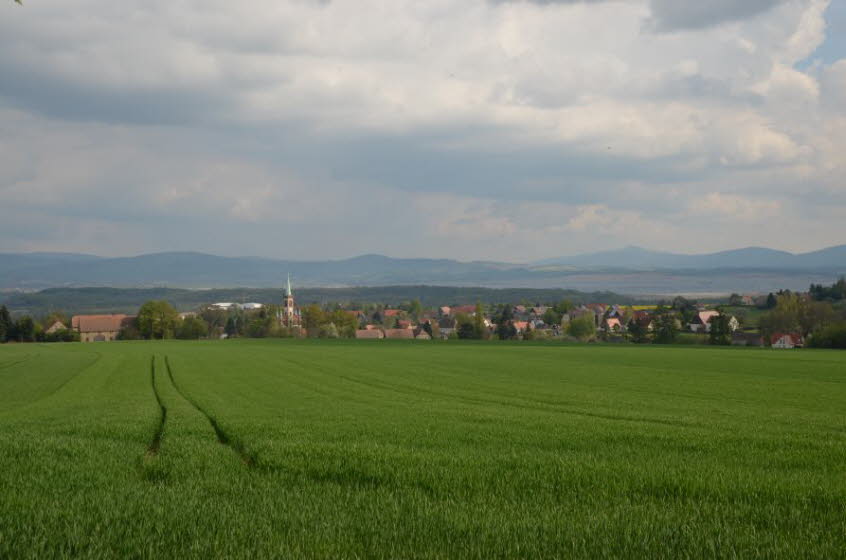 Blick vom Steinberg